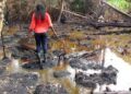 Oil Spill in Niger Delta