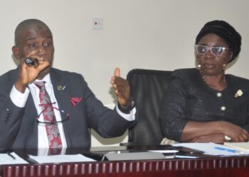 #EndSARS Belches N11bn+ Claims, 2020 Figure Follows With N224bn