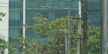 The Portrait Of ‘The Insurers House’ Story