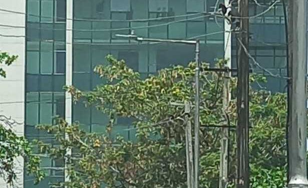 The Portrait Of ‘The Insurers House’ Story