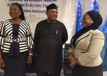 Image Spin: Financial Inclusion Engaged On All Fronts