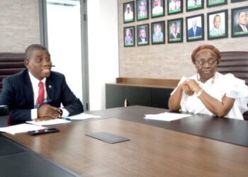 Insurers Body Says Operators Are In Recapitalisation Mood With The Removal Of Encumbrance To Definition Of Capital