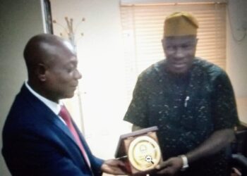 Loss Adjusting Narrow Way: NAICOM Plots Rescue Mission