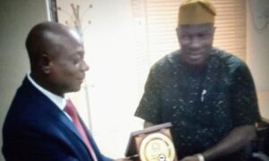 Loss Adjusting Narrow Way: NAICOM Plots Rescue Mission