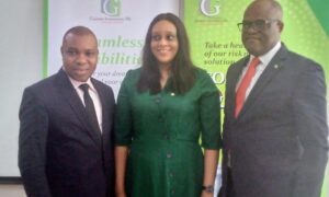 Image Spin: Guinea Insurance Navigates Awareness Corridor