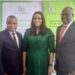 Image Spin: Guinea Insurance Navigates Awareness Corridor