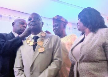 Image Spin: Diipo Olarenwaju Says Blockers Of Loss Adjusters Vital Role Will Be Challenged