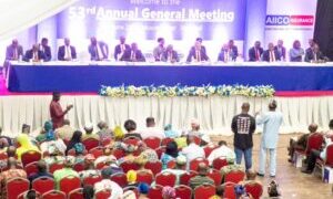 AIICO” Shareholders Uptick N7.5bn Profit , Dividend Add-on