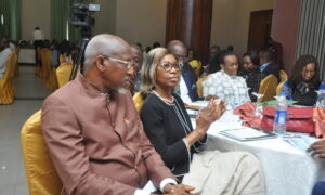 Image Spin: Insurance, Pension & Stakeholders Bare Minds At NAIPE 8th Confab