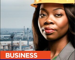 WEOG Lagos Launches Business Directory Empowering Women in Energy, Oil, and Gas Sector