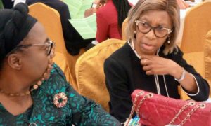 Image Spin: Insurance, Pension & Stakeholders Bare Minds At NAIPE 8th Confab