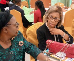 Image Spin: Insurance, Pension & Stakeholders Bare Minds At NAIPE 8th Confab