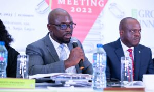 Guinea Board Primes Company For Investors Destination