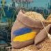 Grains Shipment, Deal Reached To Expand Ukraine Insurance Facility
