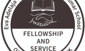 UK Chapter Of Eva Adelaja Girls  Donate Vocational Centre To Alma Mater