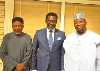 NAICOM, Revenue Commission Push For Diversification Of Nigerian Economy