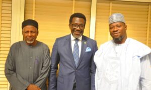 NAICOM, Revenue Commission Push For Diversification Of Nigerian Economy