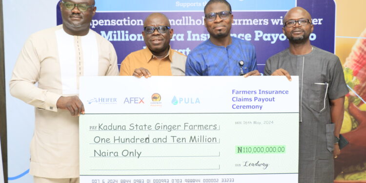 Leadway Assurance, Partners Pay N110m Compensation To Kaduna Ginger Crop Farmers