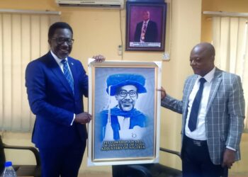 Image Spin: NAICOM Meets, ILAN In Engagement Assessment  Tour