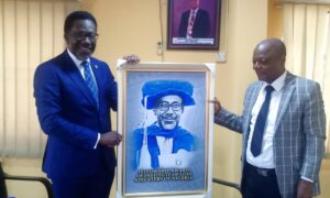 Image Spin: NAICOM Meets, ILAN In Engagement Assessment  Tour