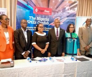 Fintech Wand Can Refloat SMEs, Enhance Economic Growth