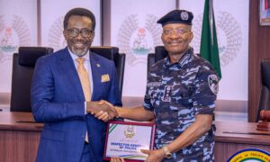 Nigeria Police In New Fashion To Enforce Compulsory Insurance