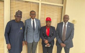 Lagos Fire Service Prepares Strict Enforcement Of Public Building Insurance