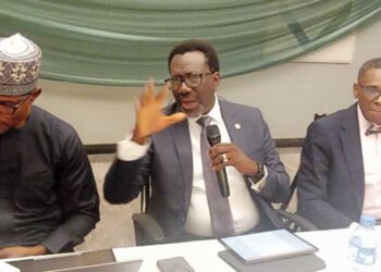 NAICOM Gets More Combative On Claims Says The Pay Dial Remains Firm