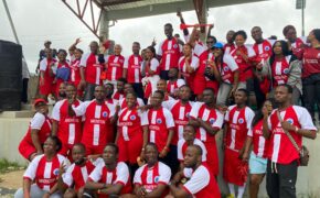 Sanlam Nigeria Fosters Team Spirit With Inter-House Sports Event