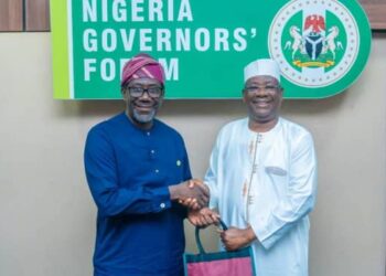 Governors Forum, Insurance Regulator Partner To Drench States With Insurance Awareness, Wealth Creation