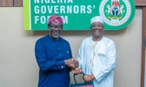 Governors Forum, Insurance Regulator Partner To Drench States With Insurance Awareness, Wealth Creation