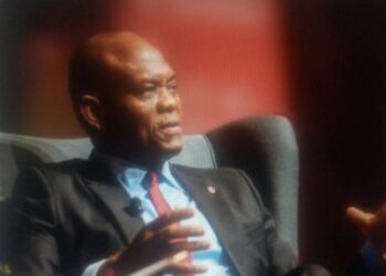Tony Elumelu Wields Philanthropy, Business As Africa’s Priorities for UNGA 2024