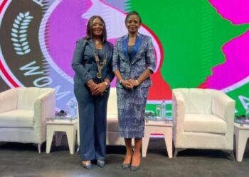 Dr. Awele Elumelu Calls for Increased Female Leadership in the Insurance Sector