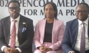 PenCom Tackles Pension Challenges On All Fronts, Sets To Close 2024 With N22tr Pension Funds, Recalibrates Micro Pension