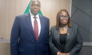 Easing Claims Payment, Insurance Industry Harmonises Minimum Documents Required For Processing Different Classes of Claims