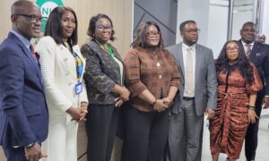 Team Power Ignites Collaboration Between NLNG Insurance Team And NIA Energy Spectrum