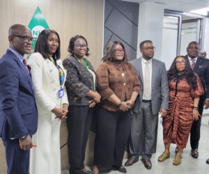 Team Power Ignites Collaboration Between NLNG Insurance Team And NIA Energy Spectrum