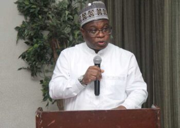 Generative AI Sweeping Reliance Destructive Without Human Oversight – NGX Chairman