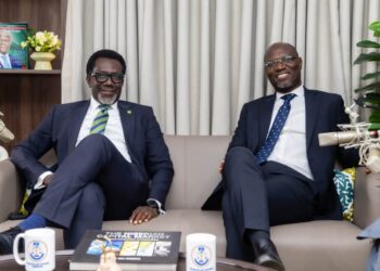 NAICOM Driven Insurance Sector Reform Gets SEC Revolving Endorsement