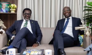 NAICOM Driven Insurance Sector Reform Gets SEC Revolving Endorsement
