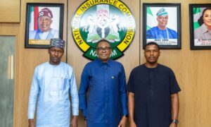 SDGs Synergy Initiative Courts NAICOM Support to Deepen Insurance Awareness Among Youths