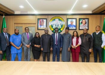 NESG, NAICOM Birth Strategic Initiative That Synchronises Resources For Insurance Transformation And Economic Development
