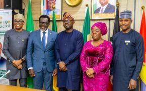 Interior Ministry, NAICOM Support Insurance For Repatriation Expenses, Urge Government Transfer Certain Liabilities to Insurers