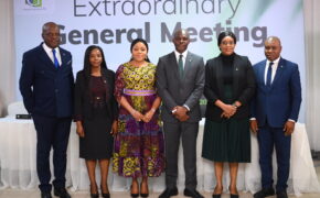 Guinea Insurance Deploys a Mix of Rights Issue, PP to Meet New Equity Threshold