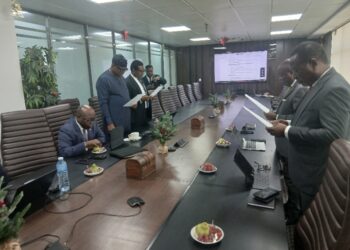 Lesi, Ikekhua, Oyinlade, Mimiko Join NIA Governing Council