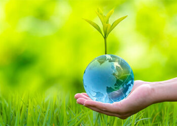 Tackling The Insurance Protection Gap