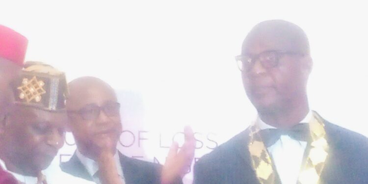 Image Spin: Udobi is Crowned 14th ILAN President, Charged to Invest in Measurable Progress And Impact