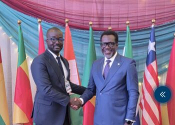 Nigeria Urges ECOWAS to Build Brown Card on Mutual Trust, Reciprocity And Collective Discipline
