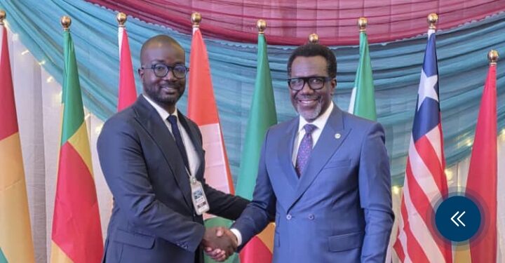 Nigeria Urges ECOWAS to Build Brown Card on Mutual Trust, Reciprocity And Collective Discipline