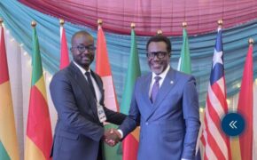 Nigeria Urges ECOWAS to Build Brown Card on Mutual Trust, Reciprocity And Collective Discipline